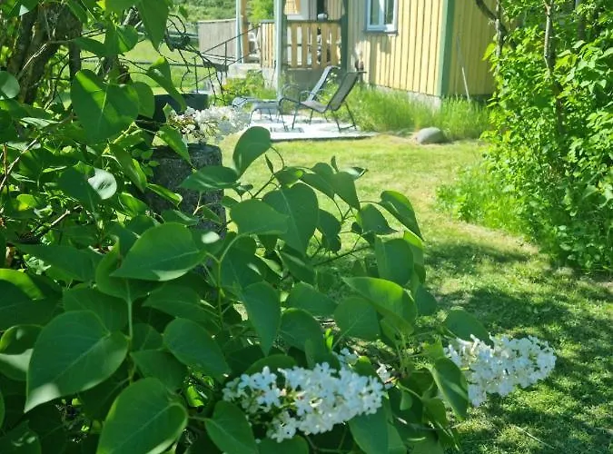 Charmigt Hus Pa Landet Naera Till Bad